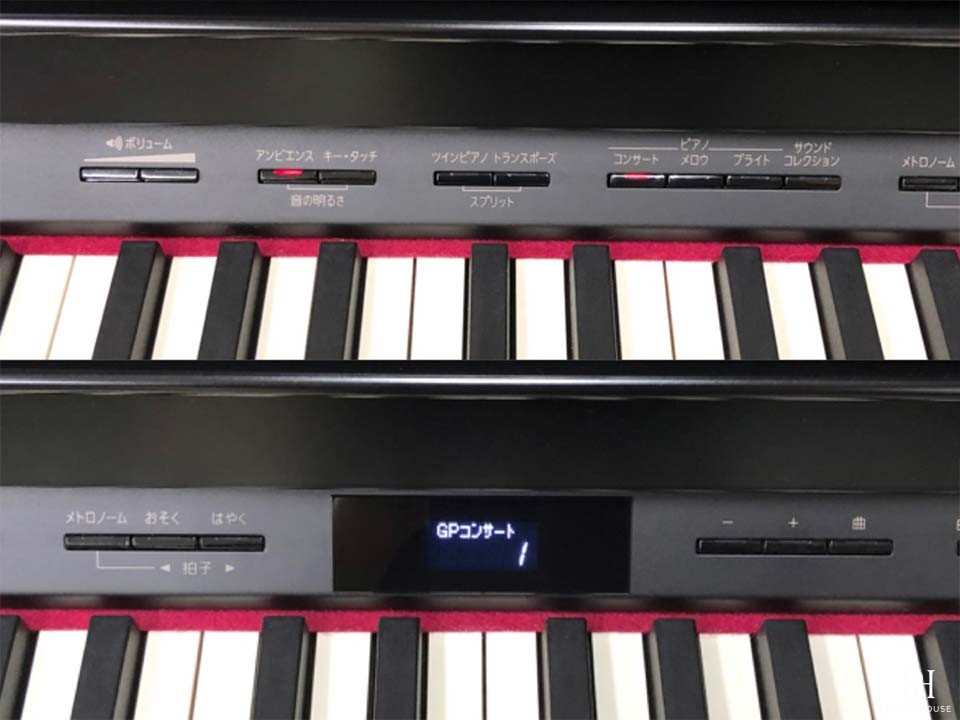 ROLAND HP-506 GP