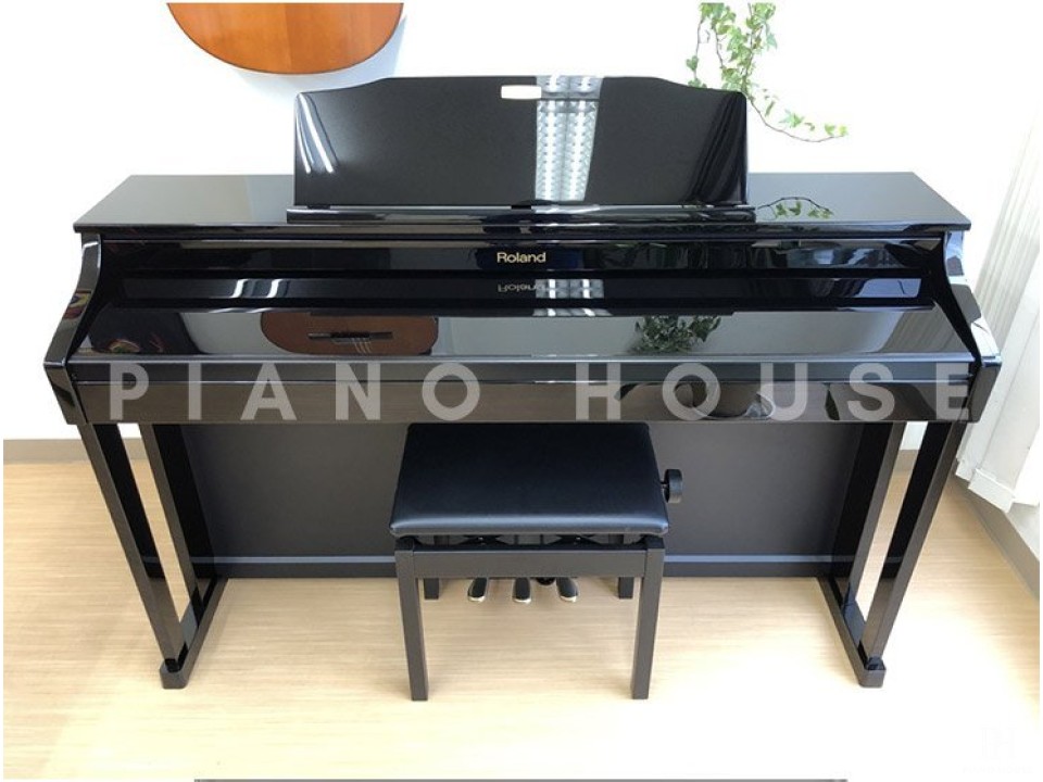 ROLAND HP-506 PE