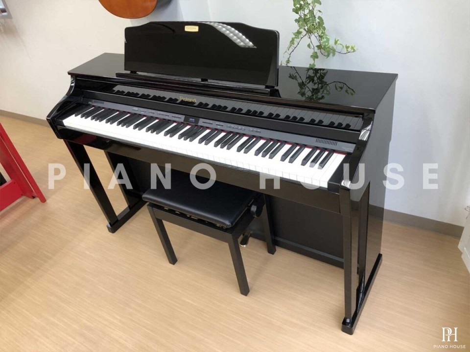 ROLAND HP-506 PE