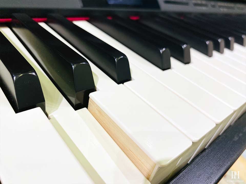 ROLAND HP-605GP SB
