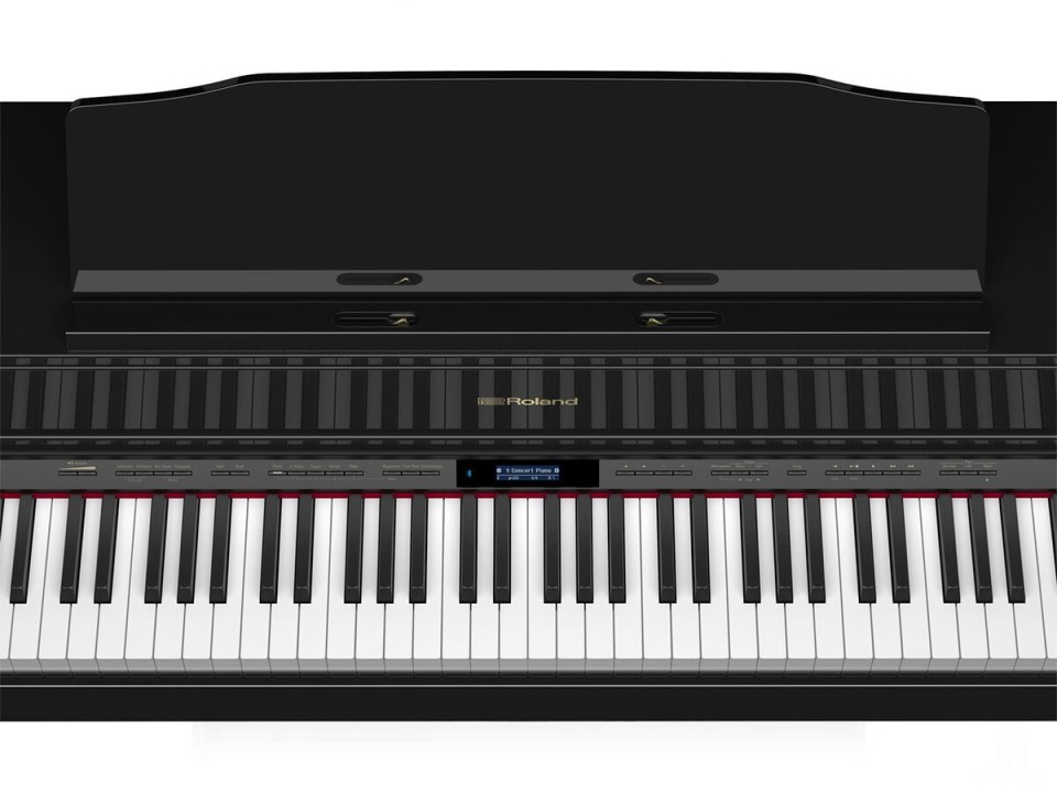 ROLAND HP-507 PE