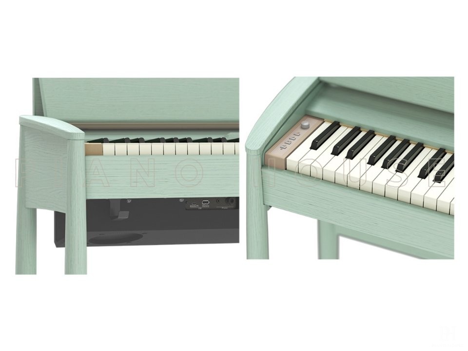 ROLAND Kiyola KF-20 KG