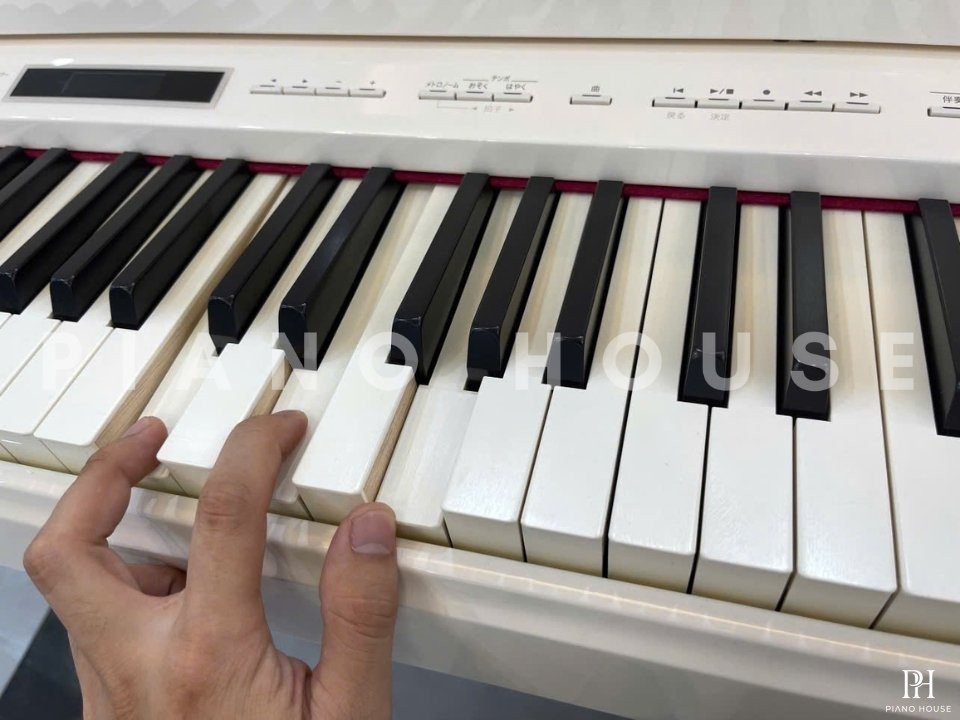 ROLAND LX-17 WH