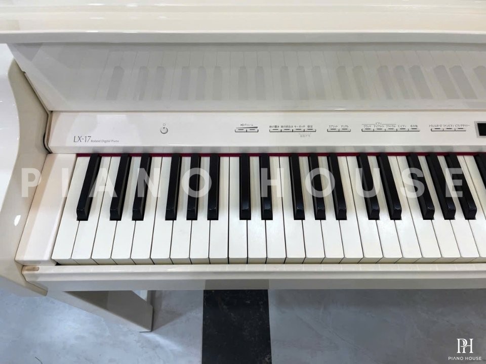ROLAND LX-17 WH