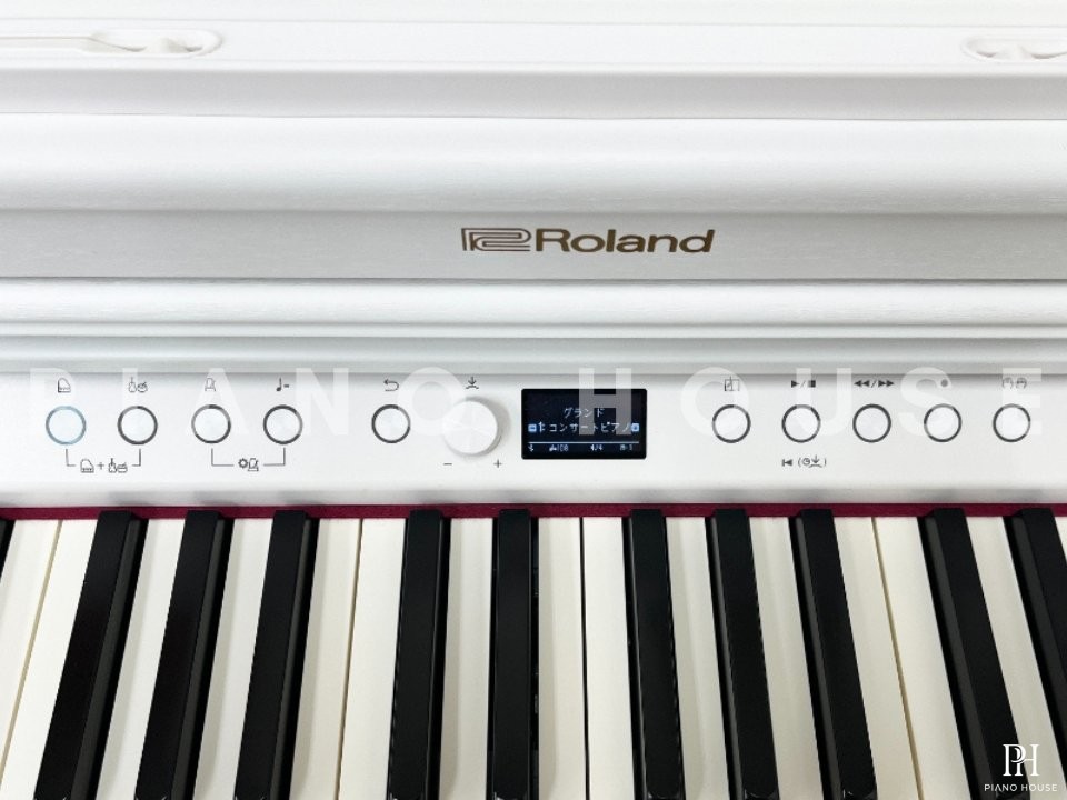 ROLAND RP-701 WH