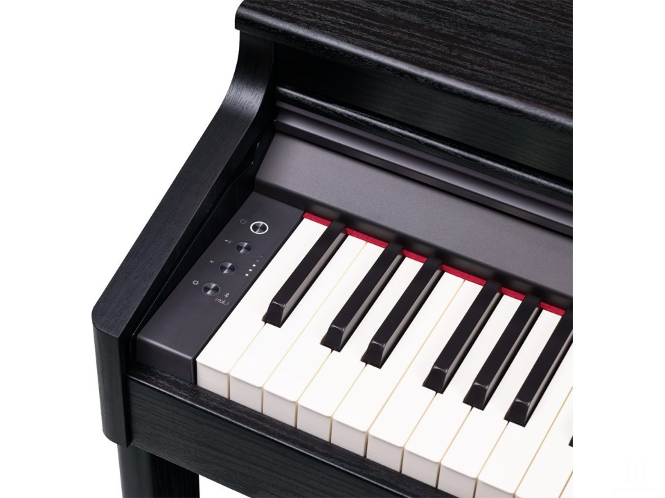 ROLAND RP-701 DR