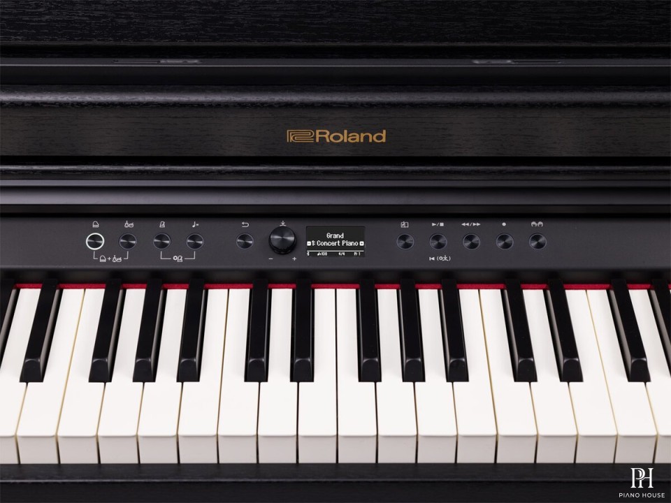 ROLAND RP-701 DR