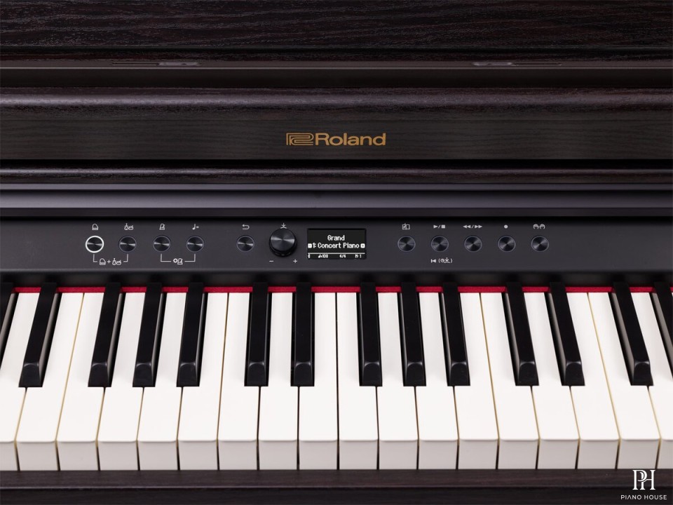 ROLAND RP-701 DR
