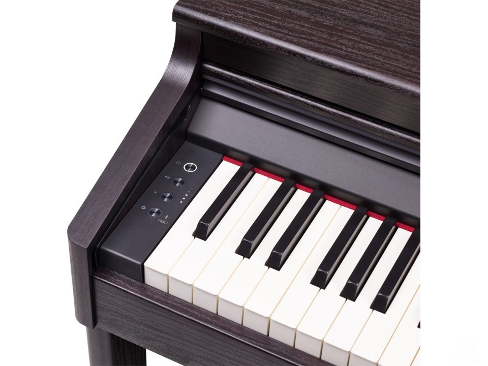 ROLAND RP-701 DR