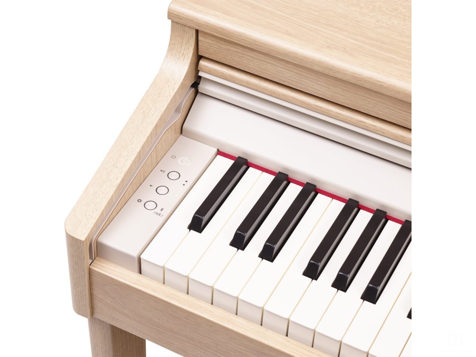 ROLAND RP-701 DR