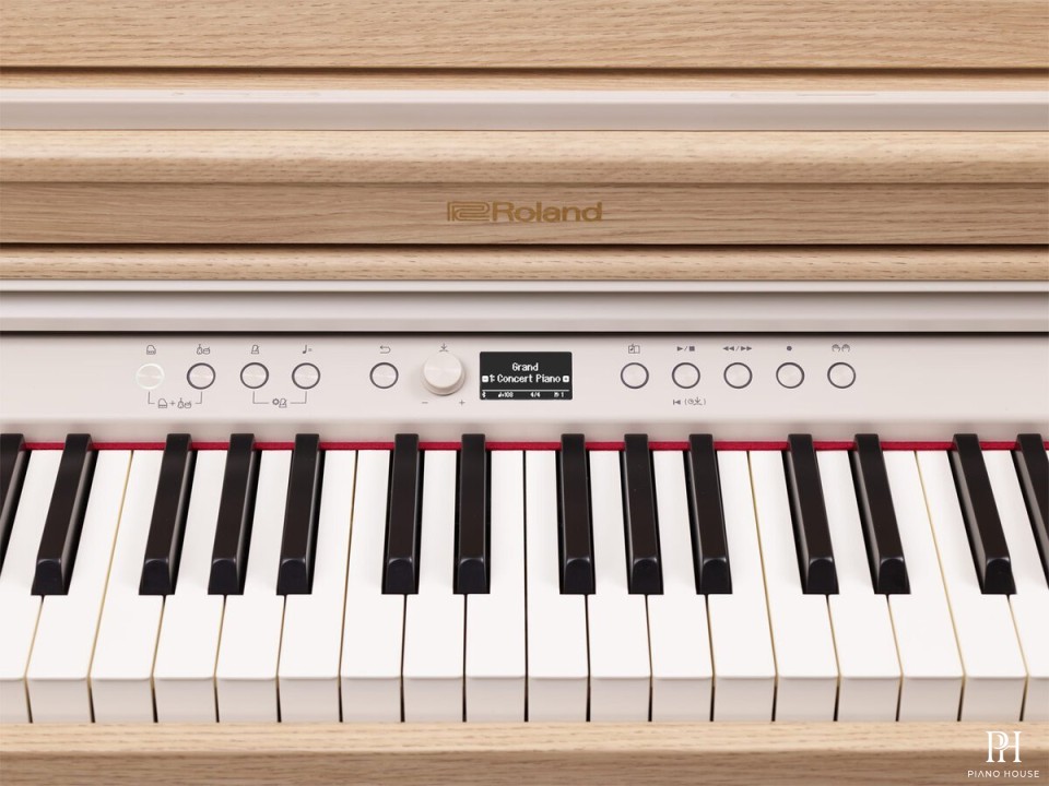 ROLAND RP-701 DR