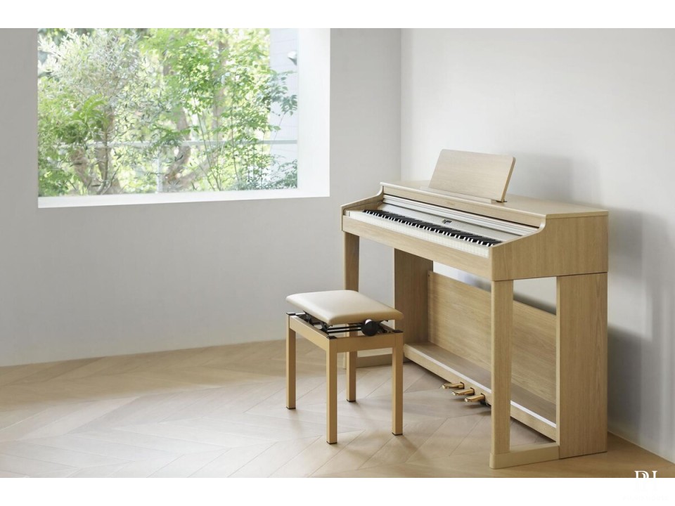 ROLAND RP-701 DR