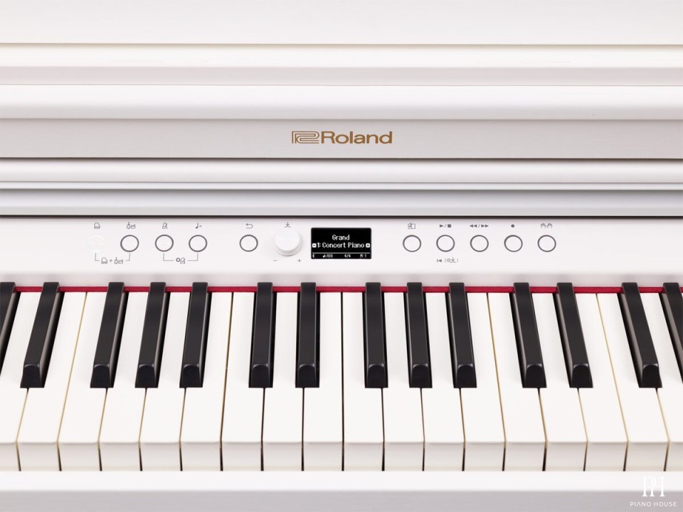 ROLAND RP-701 DR