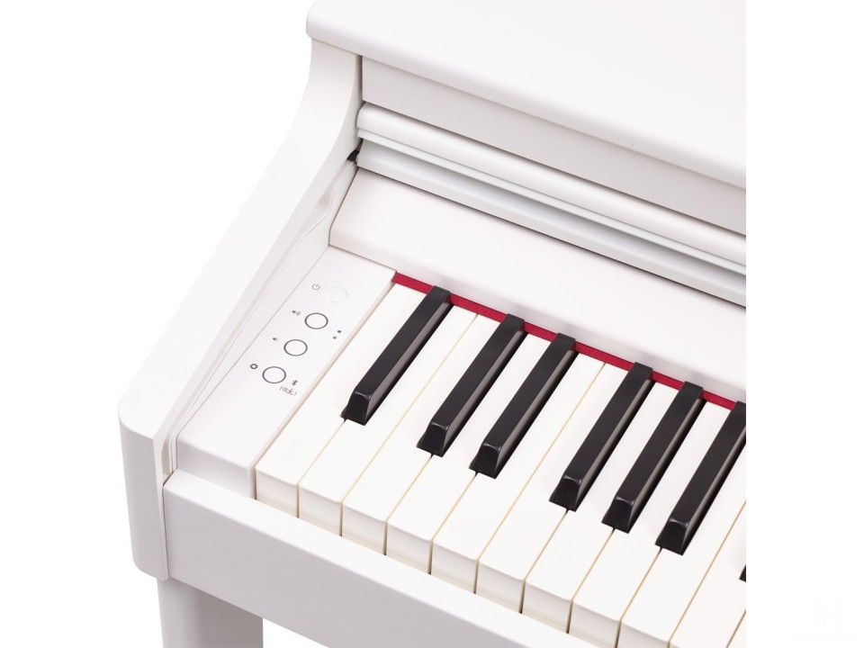 ROLAND RP-701 DR