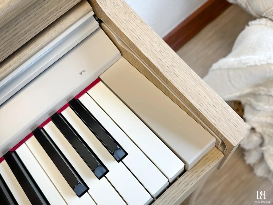 ROLAND RP-701 LO