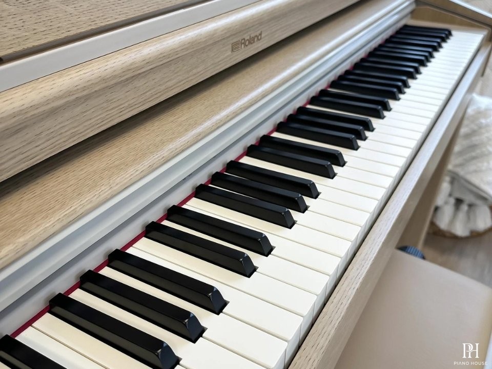 ROLAND RP-701 LO
