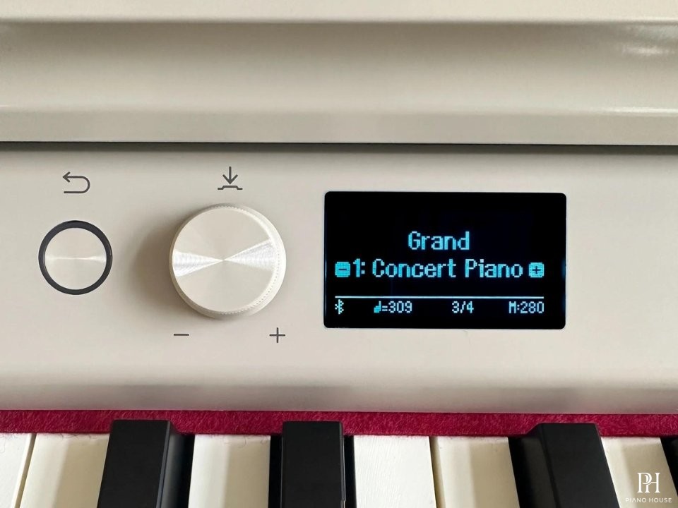 ROLAND RP-701 LO