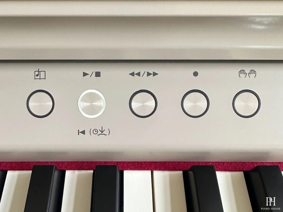 ROLAND RP-701 LO