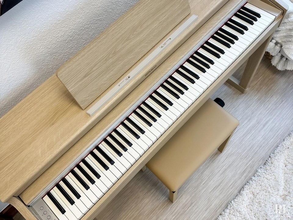 ROLAND RP-701 LO