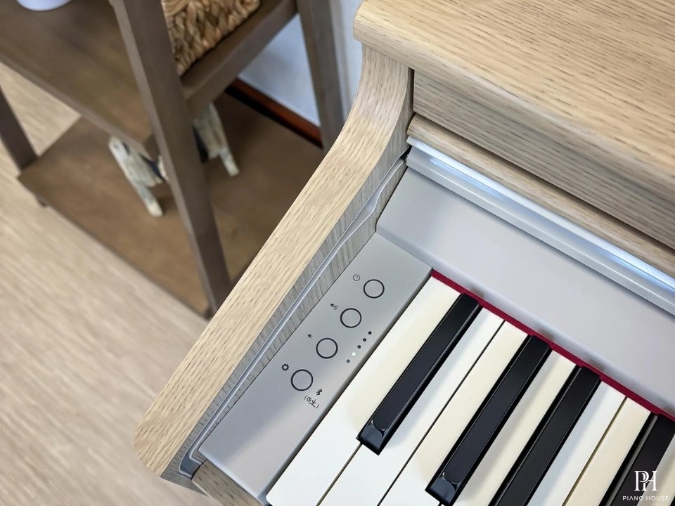 ROLAND RP-701 LO