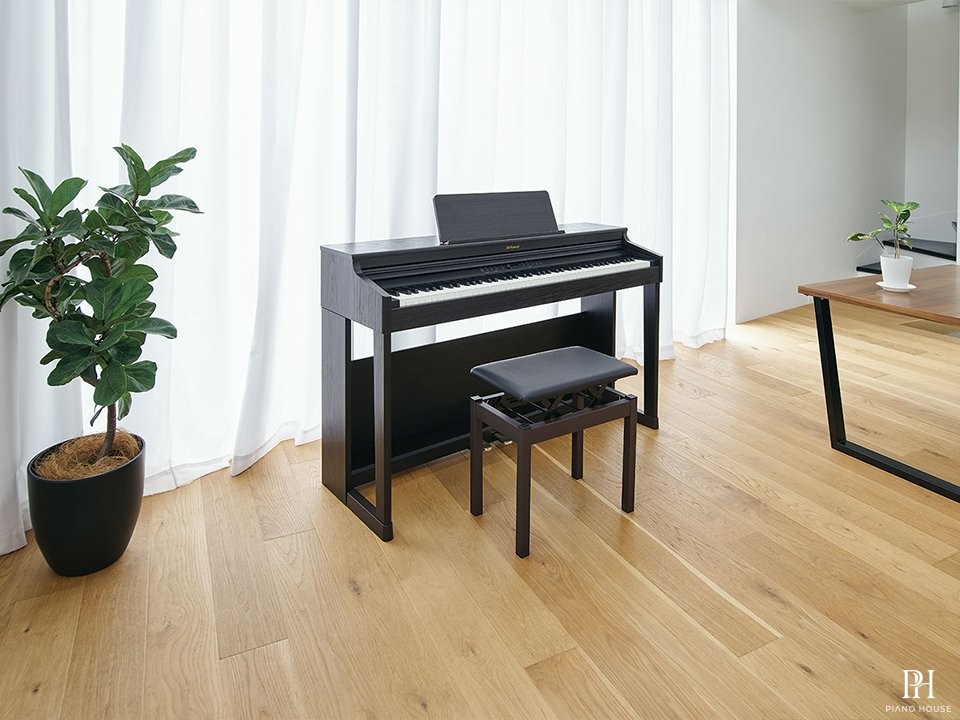 ROLAND RP-701 CB
