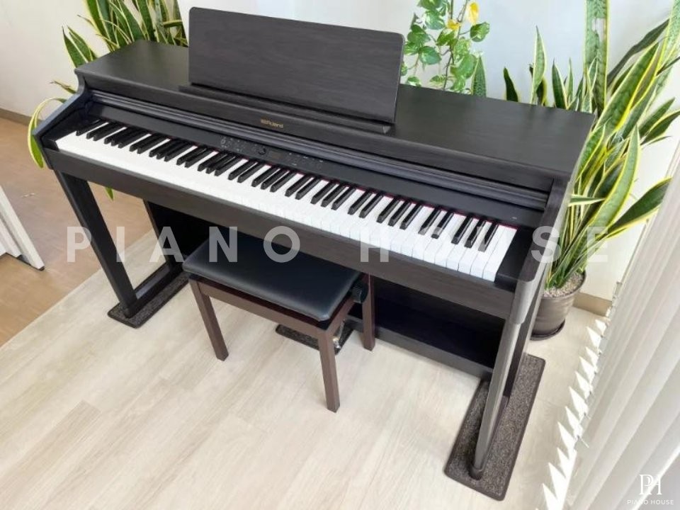 ROLAND RP-701 DR (Used)