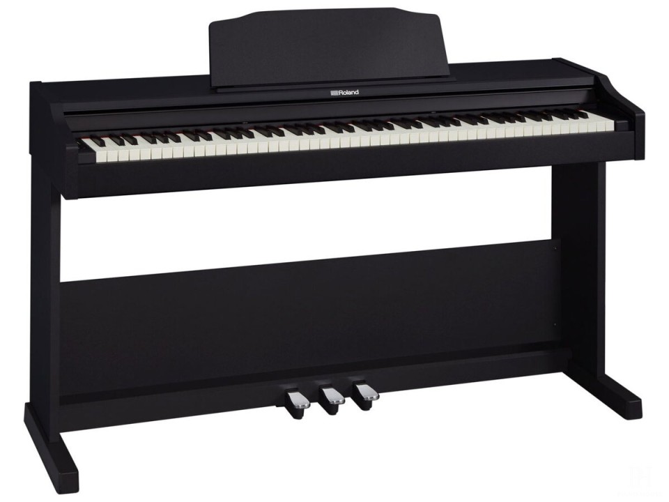 ROLAND RP-102