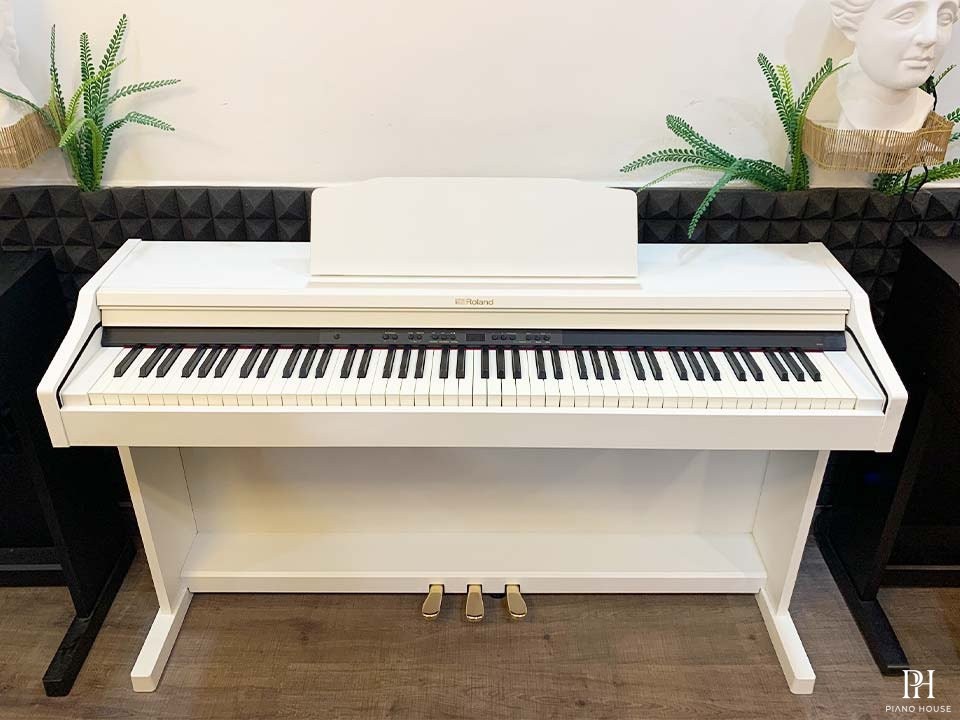 ROLAND RP-501R WH