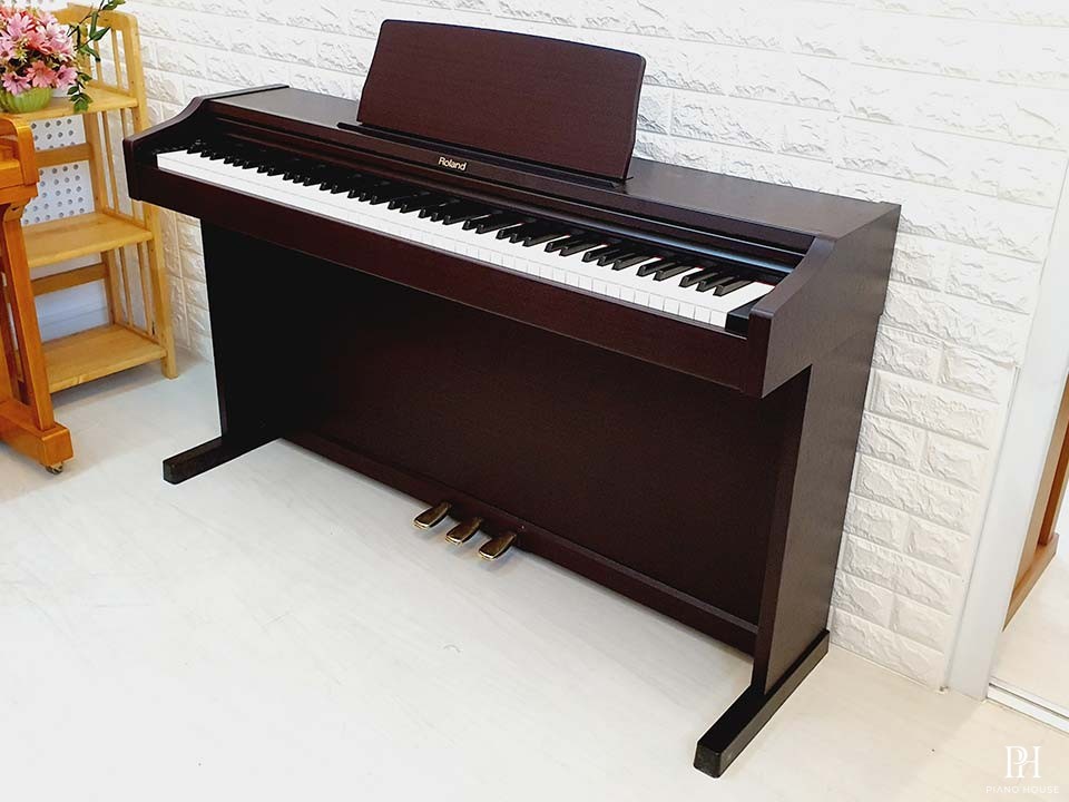 ROLAND RP-101