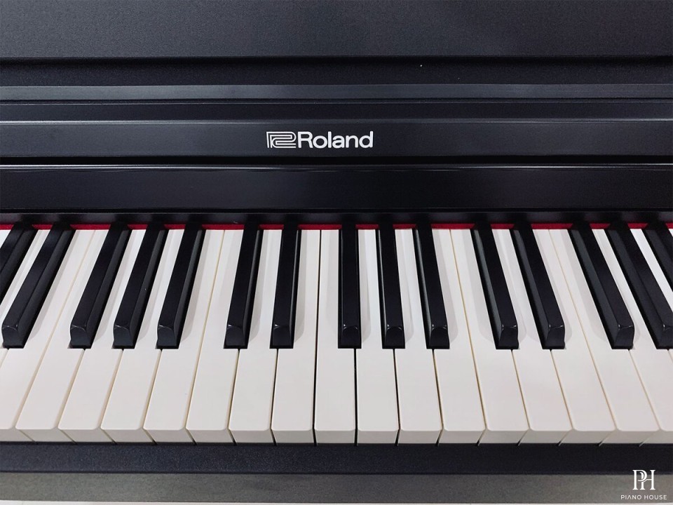 ROLAND RP-102