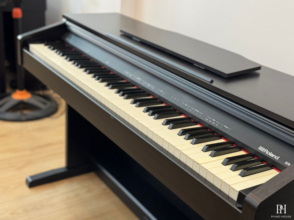 ROLAND RP-30 (USED)
