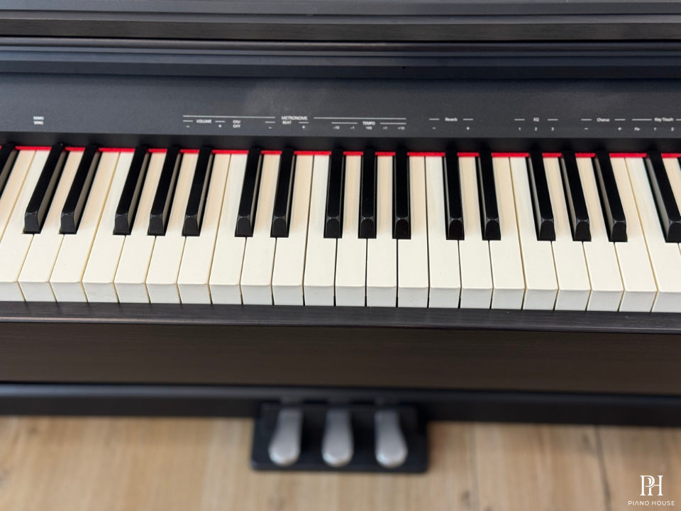 ROLAND RP-30 (USED)