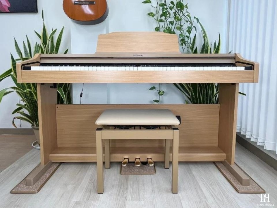 ROLAND RP-501R NBS