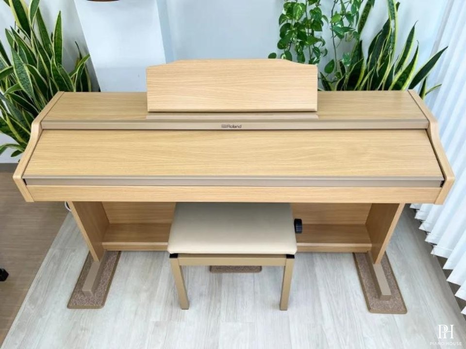 ROLAND RP-501R NBS