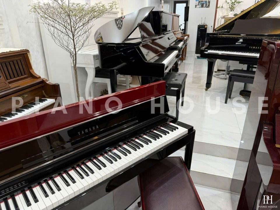 YAMAHA CLP F01 Red