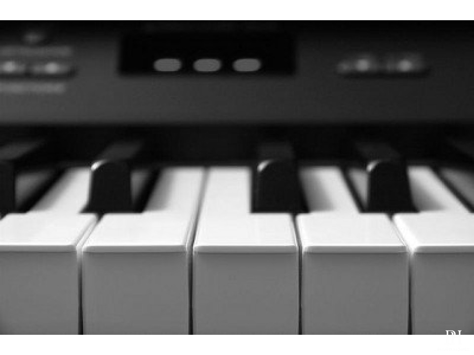 YAMAHA CLP-230 R
