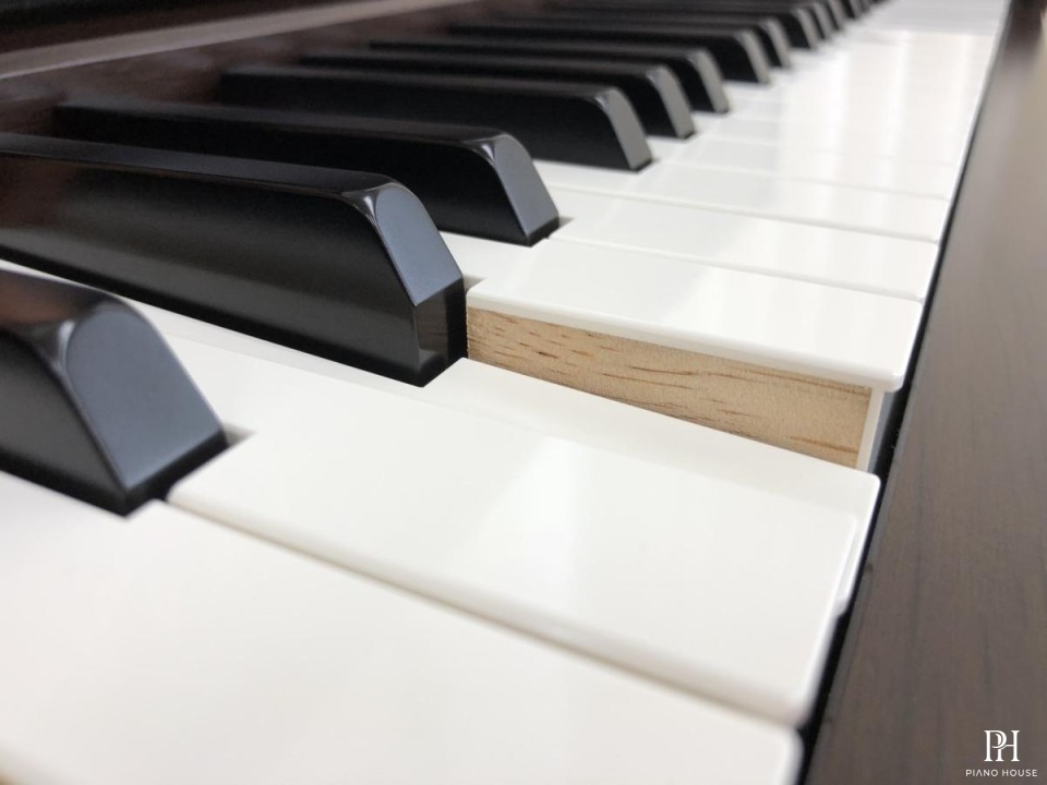 YAMAHA SCLP-5450