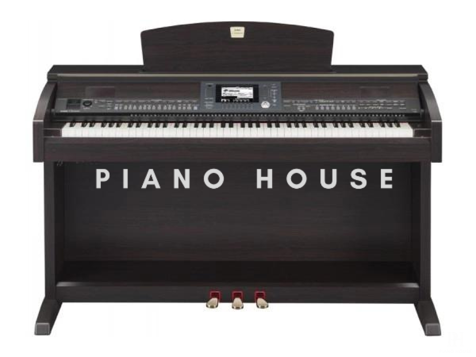 YAMAHA CVP-501