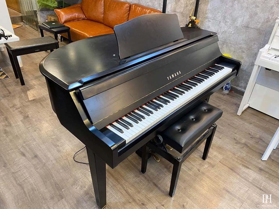 YAMAHA DGP1