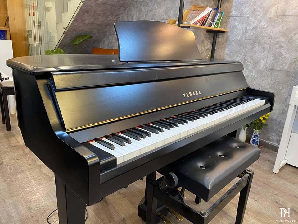 YAMAHA DGP1
