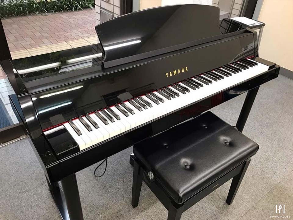 YAMAHA DGP-5