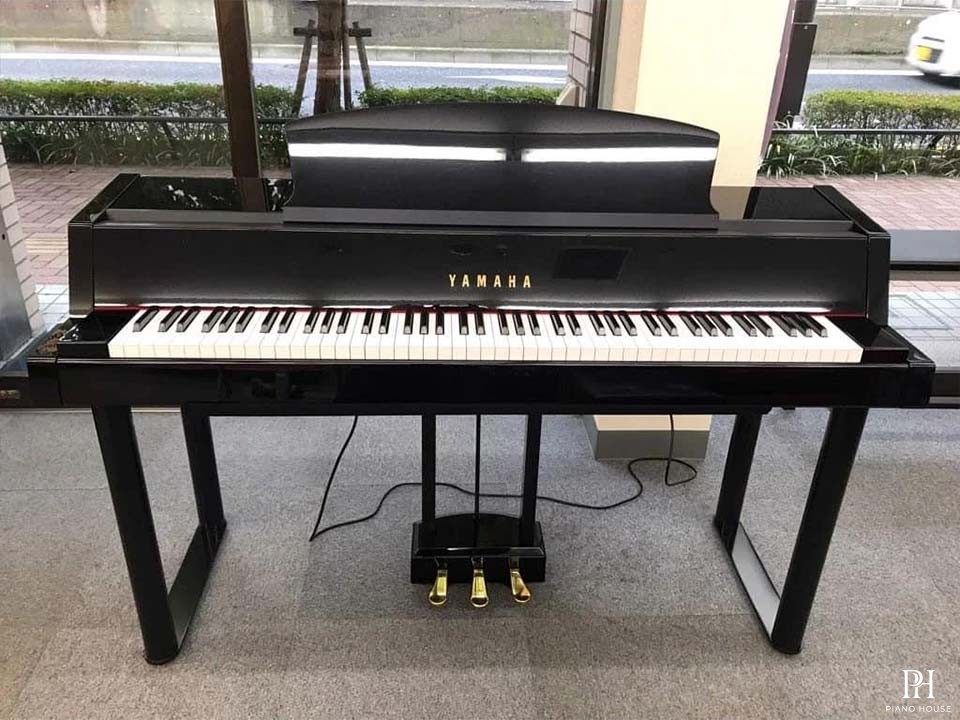 YAMAHA DGP-5
