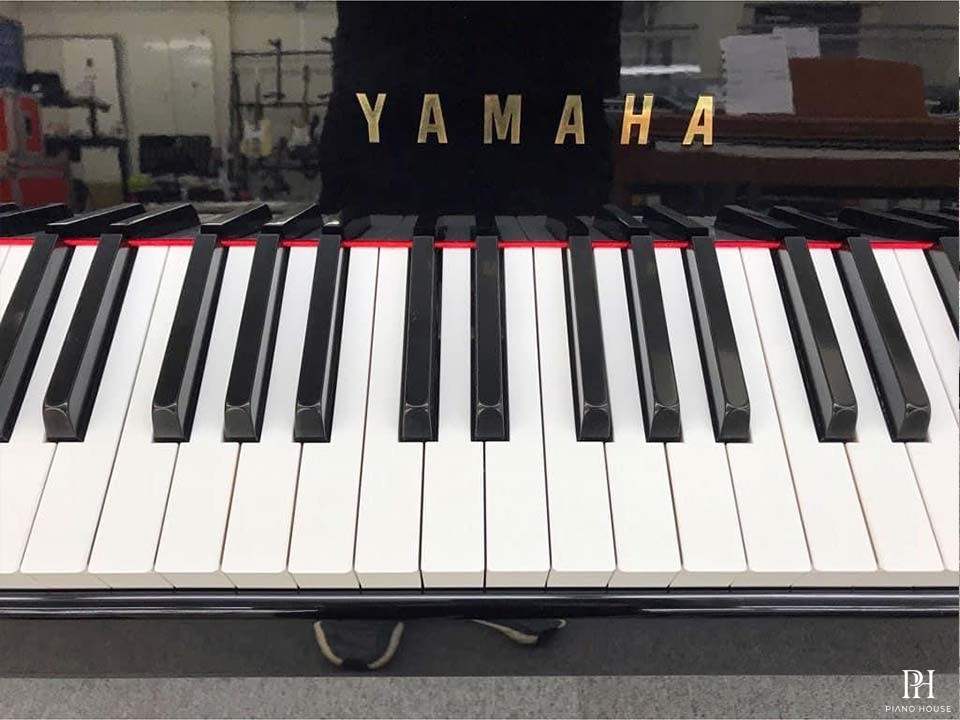 YAMAHA DGP-5
