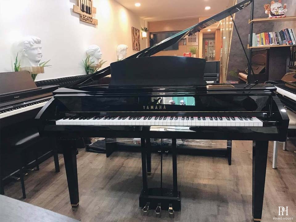 YAMAHA DGP7