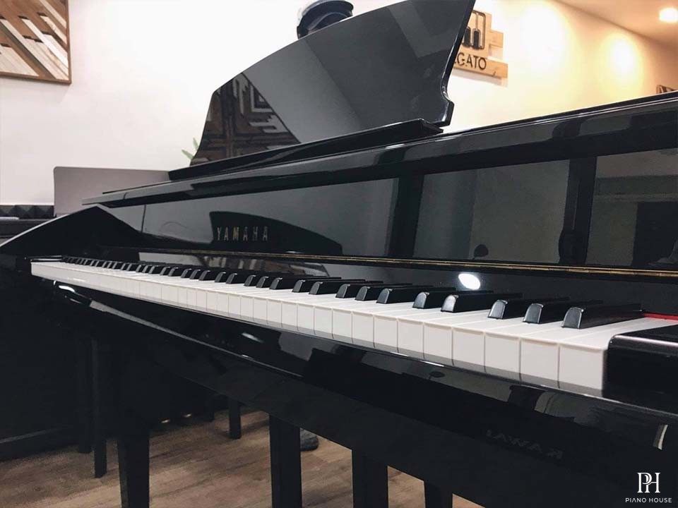 YAMAHA DGP7