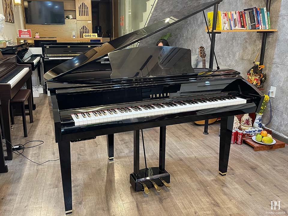 YAMAHA DGP7