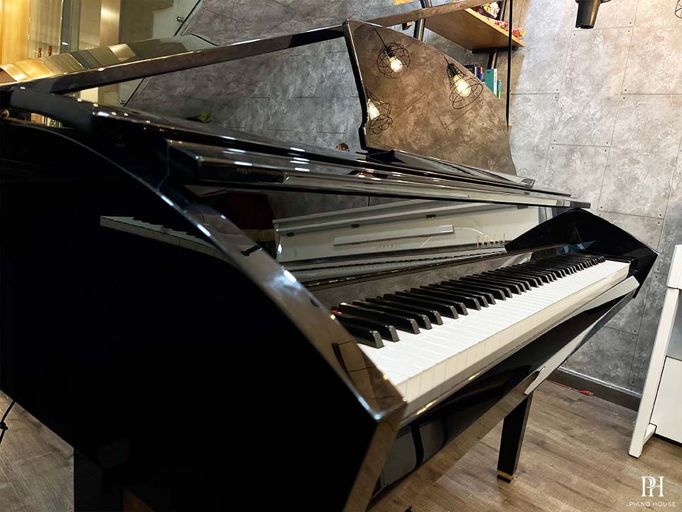 YAMAHA DGP7
