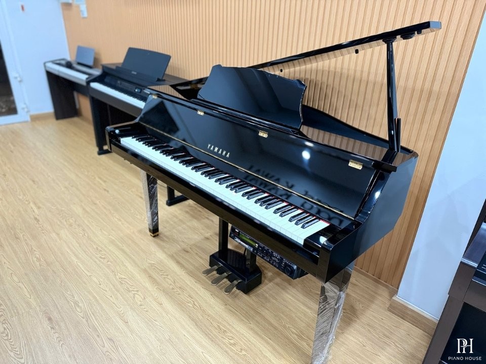 YAMAHA DGP2 XG