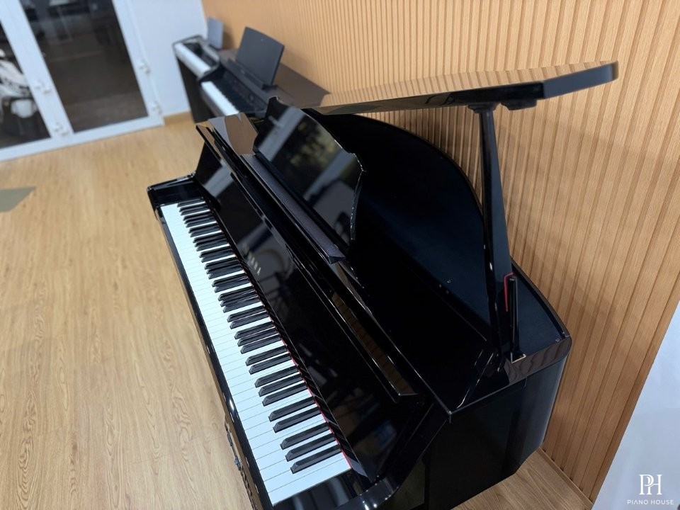 YAMAHA DGP2 XG