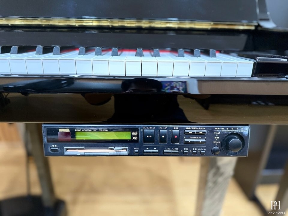 YAMAHA DGP2 XG
